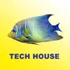 Various Artists - Tech House 2019 & DJ Mix (UK's Best New Outsider Electronic Grooves)